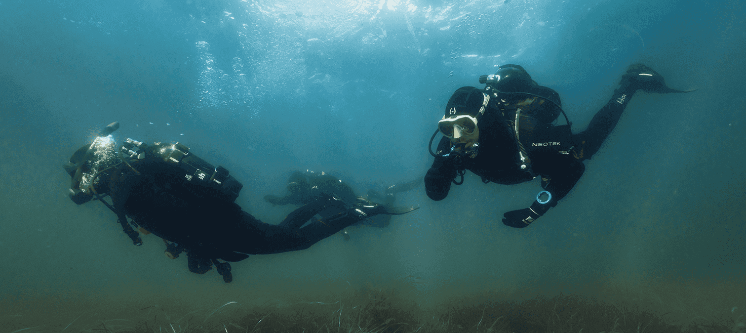 Ture & Events category card image