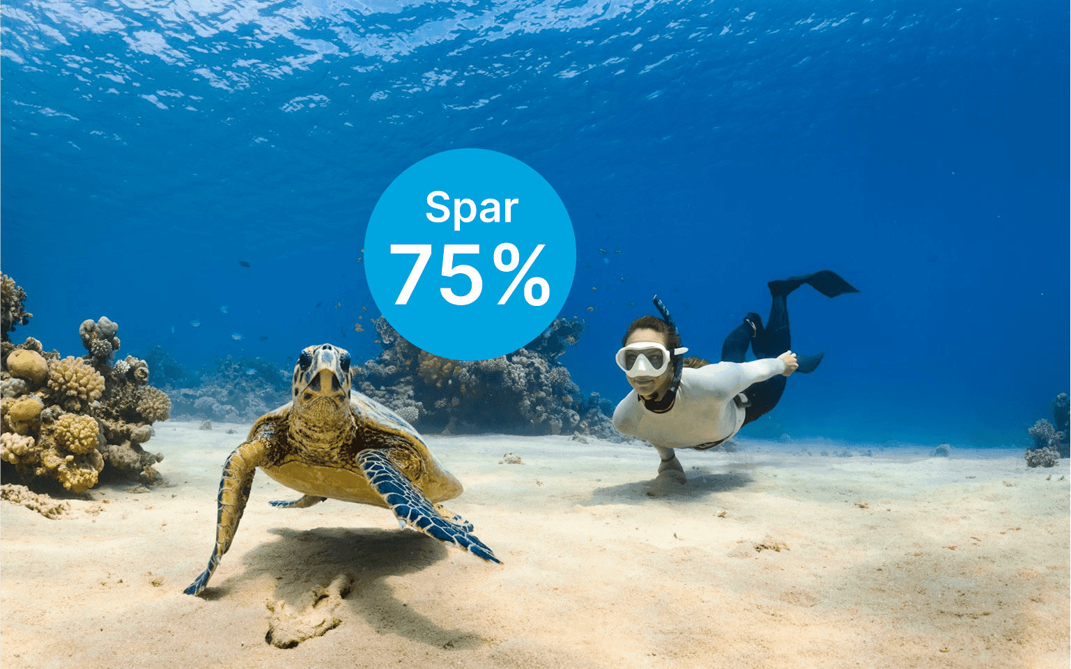 Campaign Section image